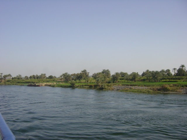 DSC01495