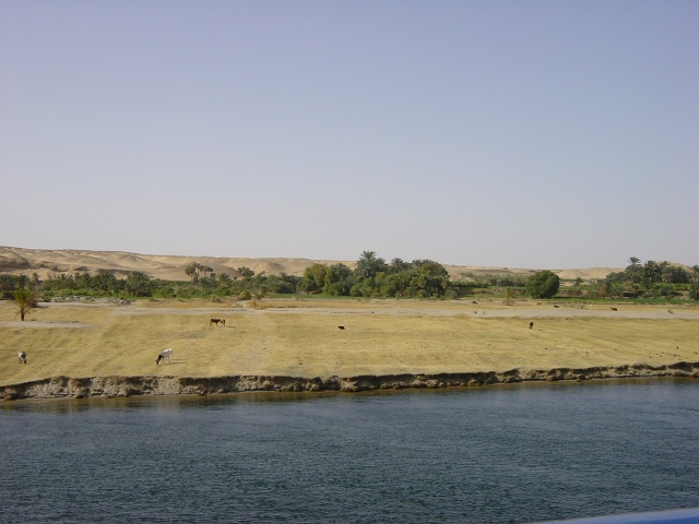 DSC01546