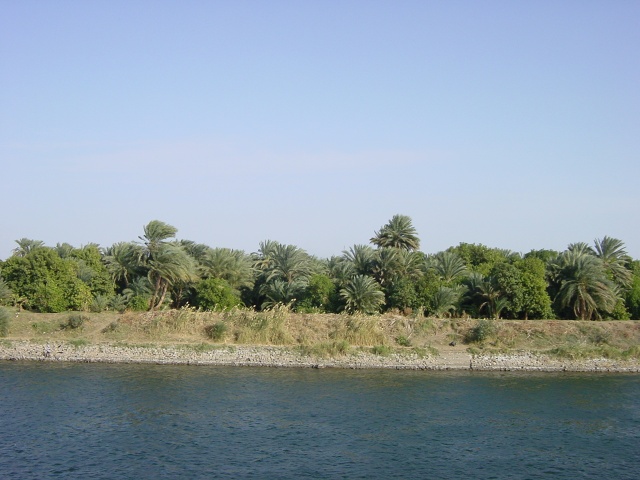 DSC01549