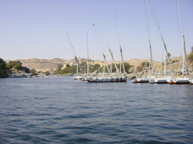 DSC01610