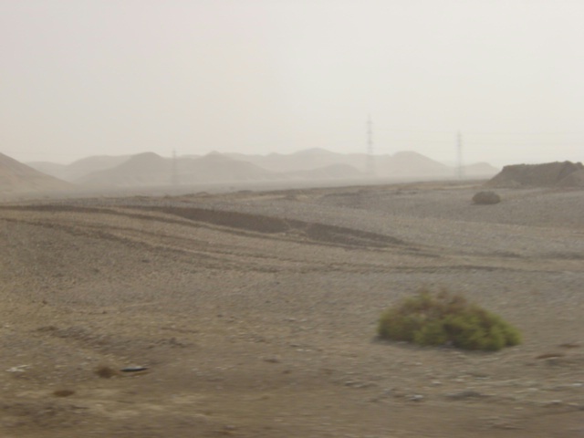 DSC01719
