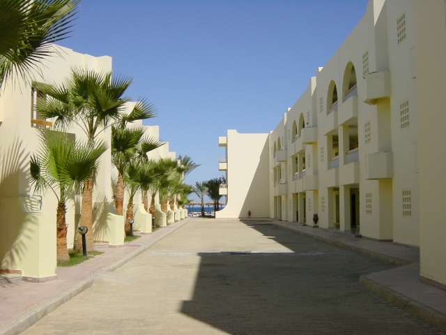 DSC01750